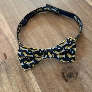 Janie and Jack | Dog Bowtie | size 2-5